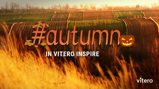 Autumn in vitero inspire